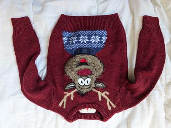 Pull Noël