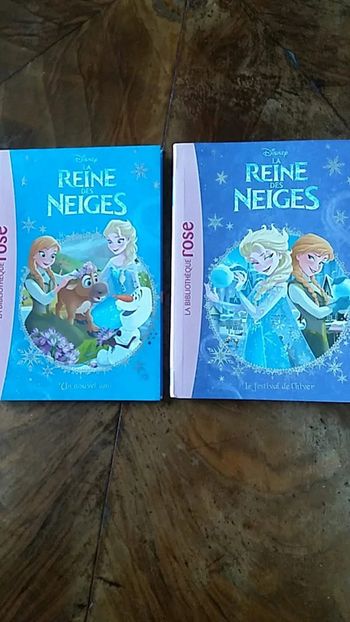 Livre Disney la reine des neiges