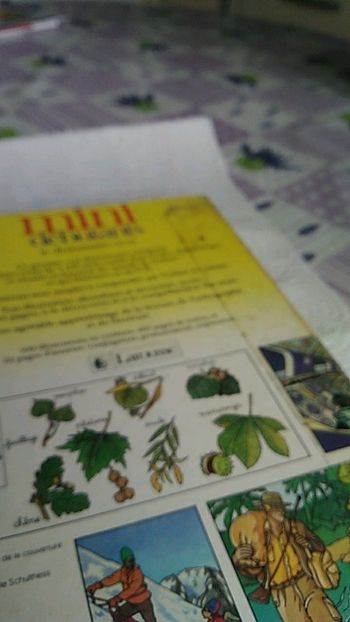 Larousse,mini debutants