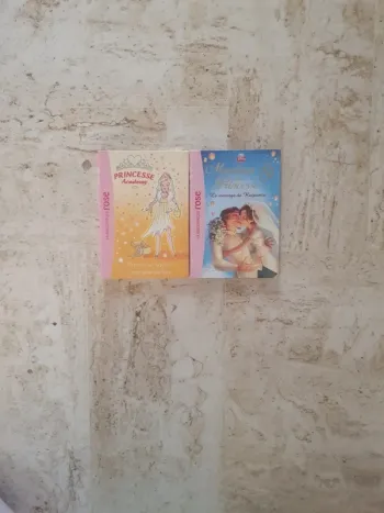 Lot de 2 livres princesse Academy