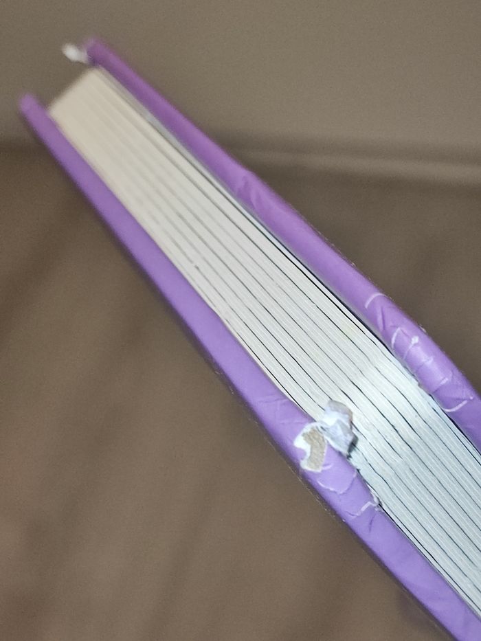 Lot de 2 livres cartonnés "En forêt" et "Les instruments de musique" - photo numéro 2