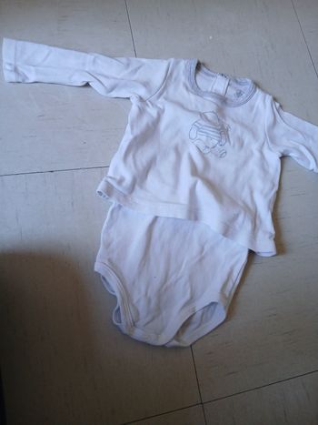 Bodies