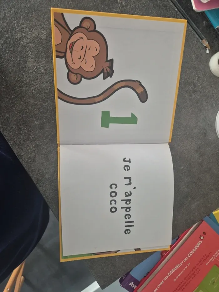 Je m appelle coco - photo numéro 3