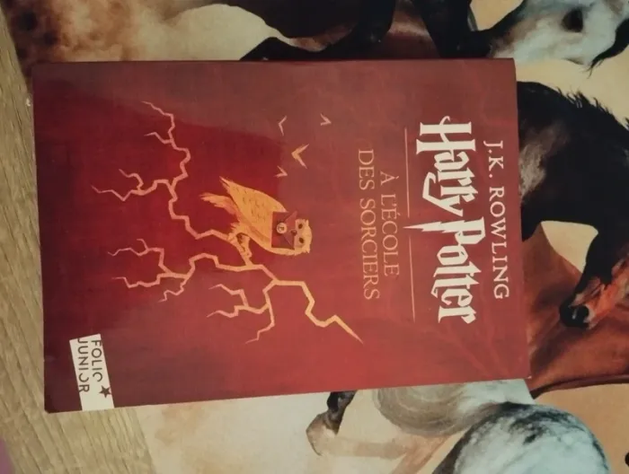 Harry Potter a l'école des sorciers
