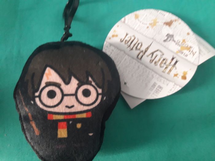 Harry Potter - coussin Harry Potter