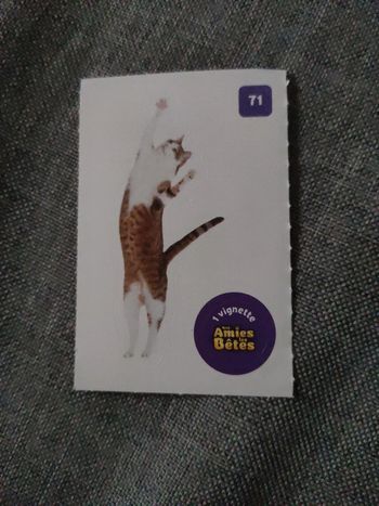 Autocollant nos amies les bêtes