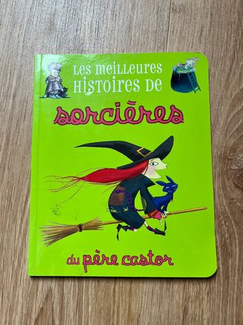 Livre sorcières