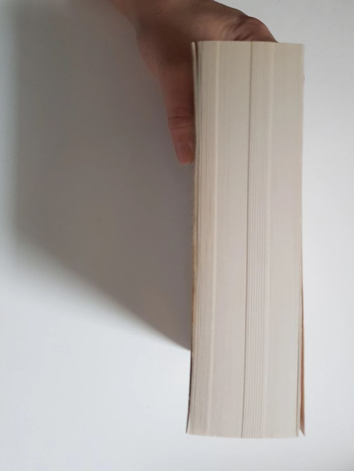 Ken Follett (Écrivain) Saga Kingsbridge, Tome 3 : Une colonne de feu - photo numéro 5