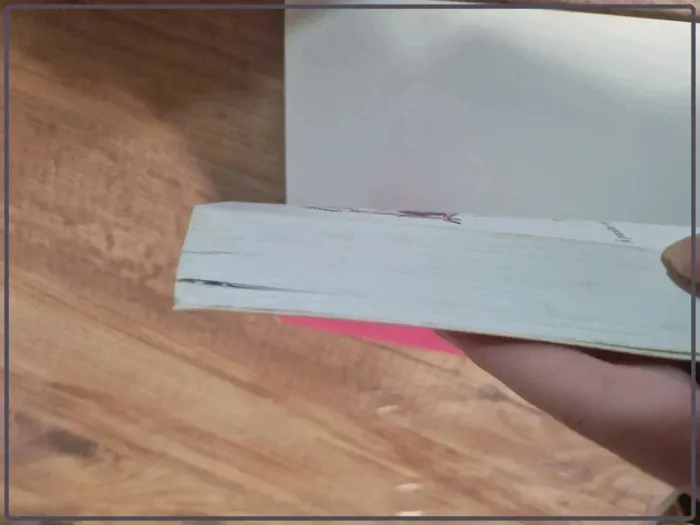 Lot de livres Journal d'une princesse de Meg Cabot - photo numéro 16