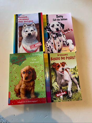 Lot de 4 livres jeunes