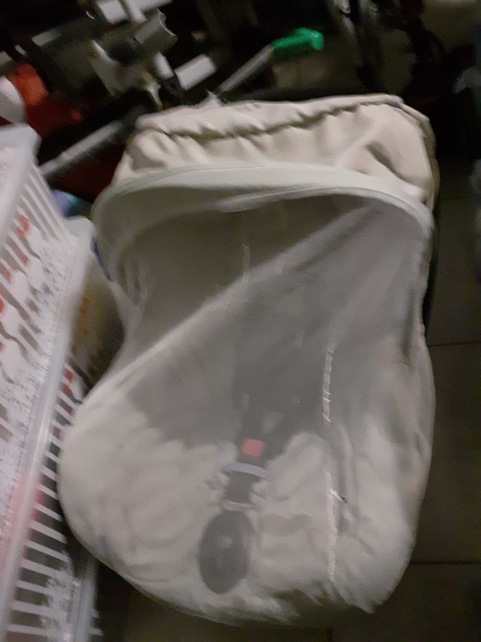 Coque - photo numéro 2