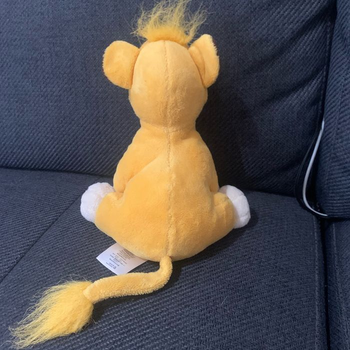 Roi lion - photo numéro 2