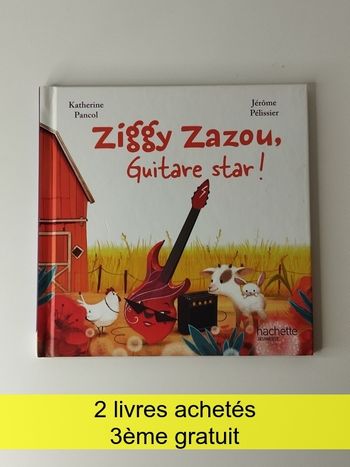 Livre illustré dès 6 ans Ziggy Zazou de Katherine Pancol
