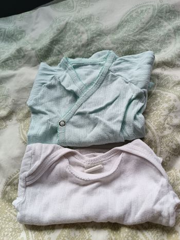Bodies