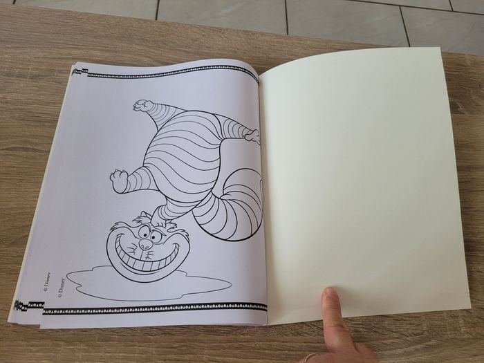 Livre de coloriages Disney - photo numéro 10