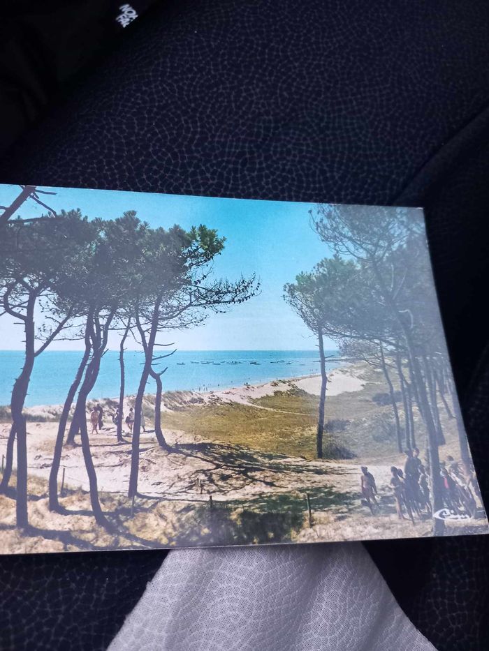 Carte postale de l'île de Noirmoutier - photo numéro 2