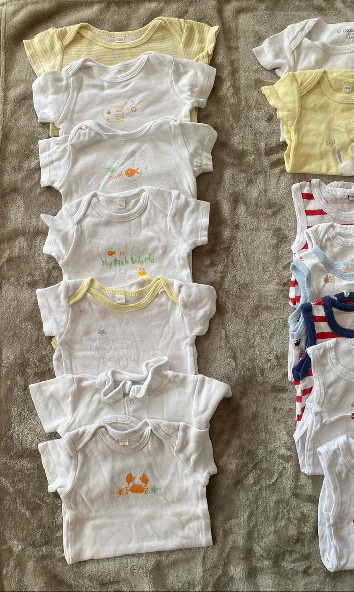 Lot bodys 12 mois - photo numéro 2