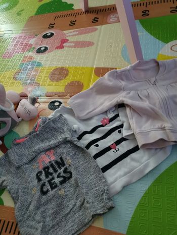 Pulls et gilet