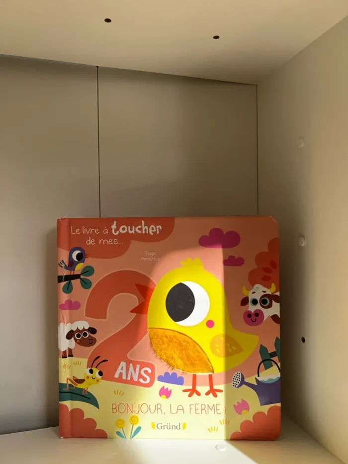 Livre à toucher | Dès 2 ans, éveil sensoriel et apprentissage - photo numéro 3