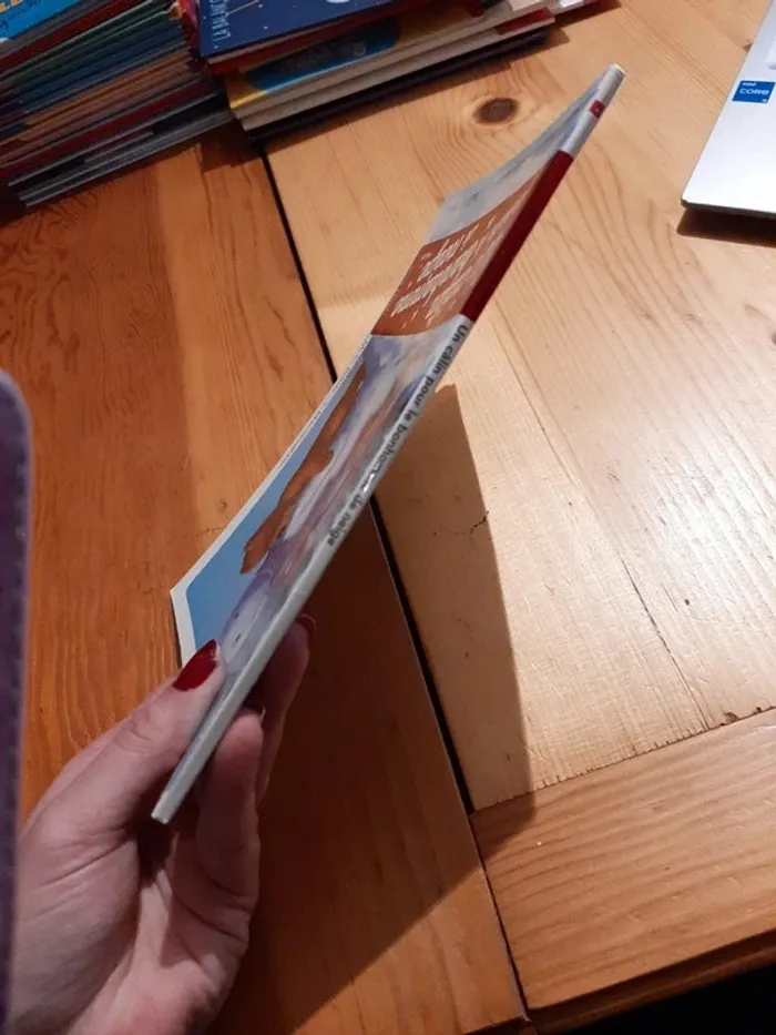 Livre un câlin pour le bonhomme de neige - photo numéro 4