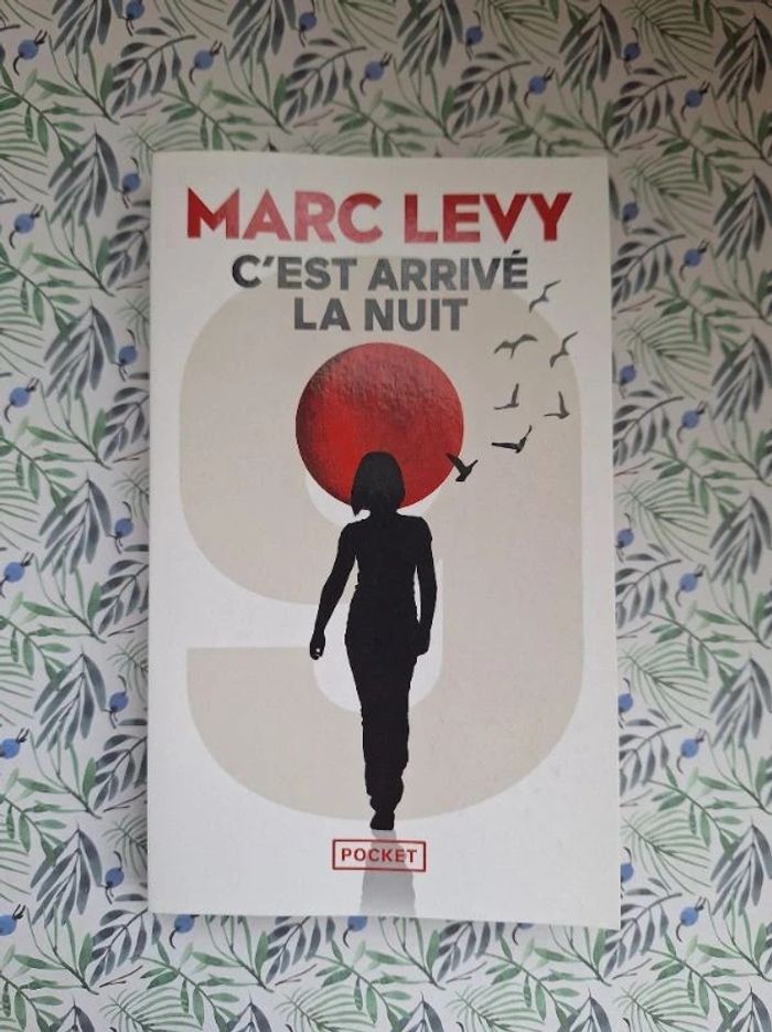 Roman "c'est arrivé la nuit" de Marc Levy