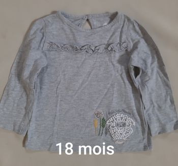 Tee-shirt manches longues gris fille - Creeks - 18 mois