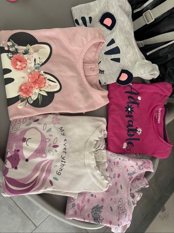 Lot 5 tee shirts manches longues  23 mois