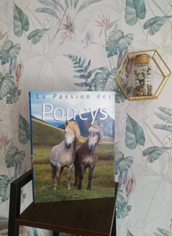 Livre chevaux