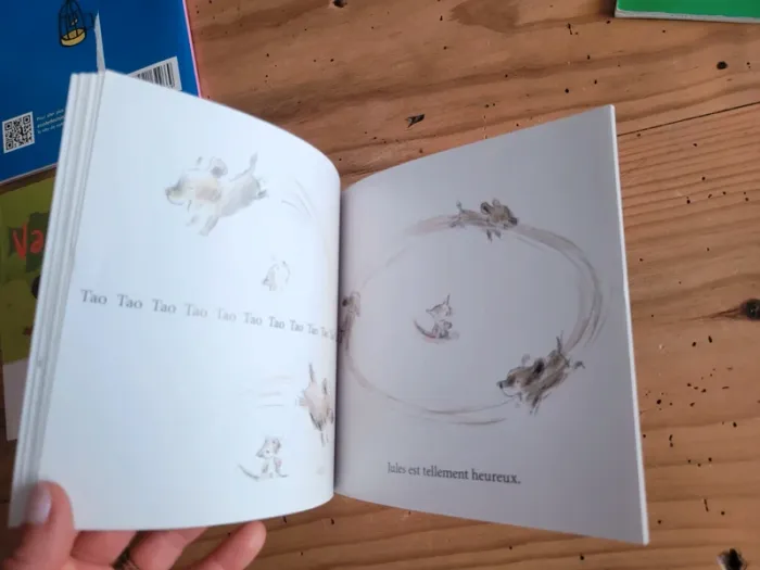 Lot de 5 livres École des Loisirs maternelle - photo numéro 16