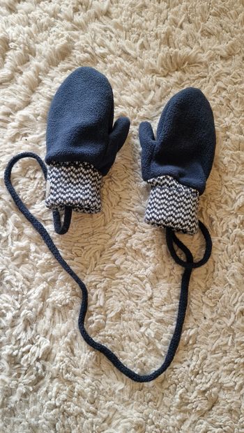 Moufles polaires Obaïbi