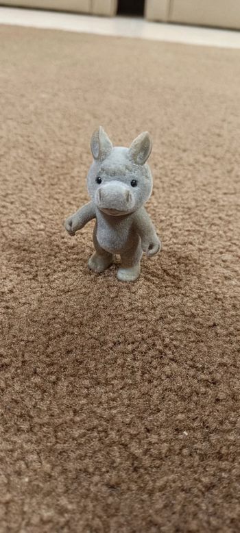 Hippopotame hippo petits malins