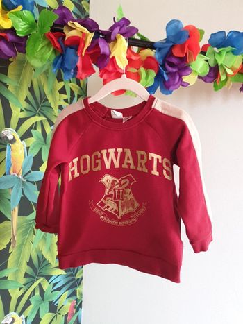 Sweat mixte Hardy potter