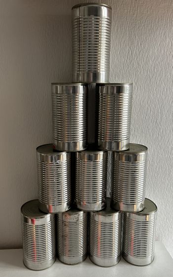 10 boites15 de conserve vide 10x17