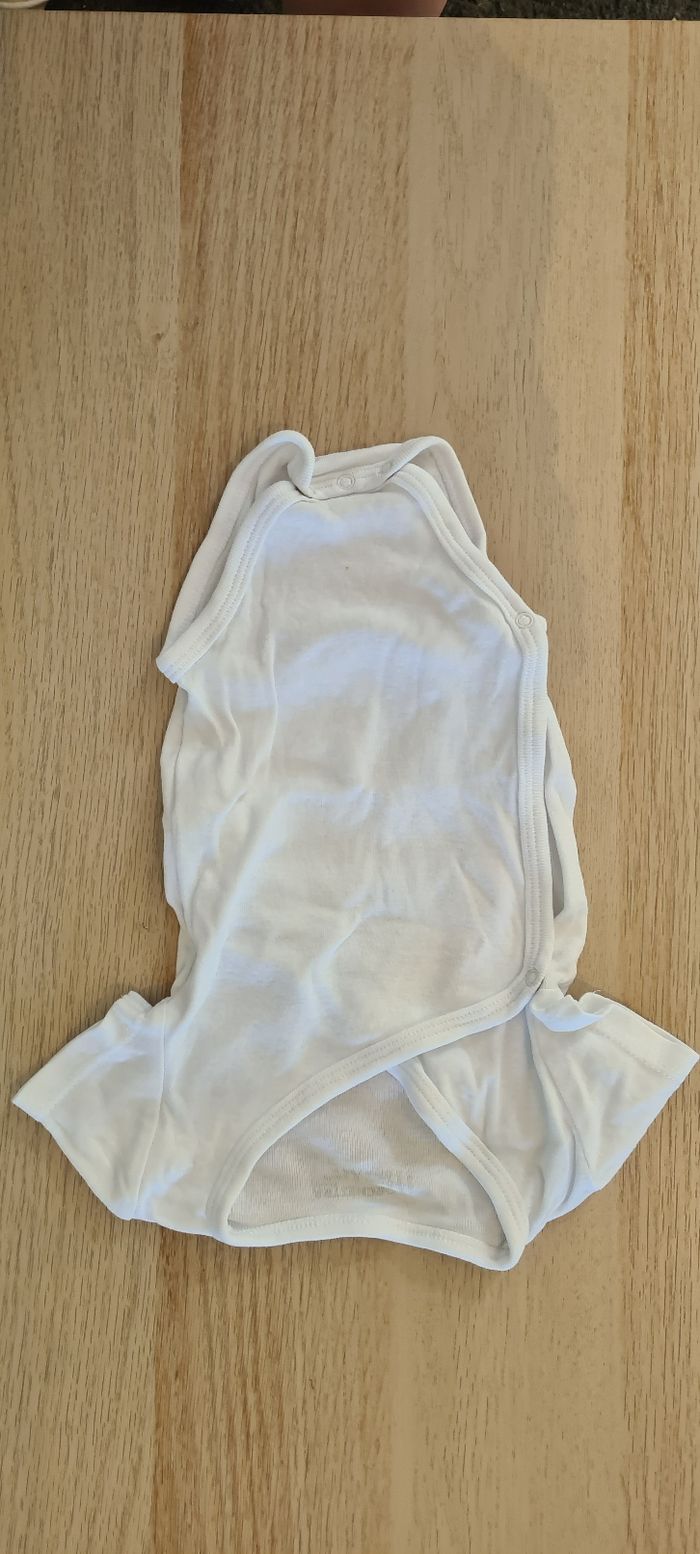 Lot bodies 6 mois manches courtes - photo numéro 2