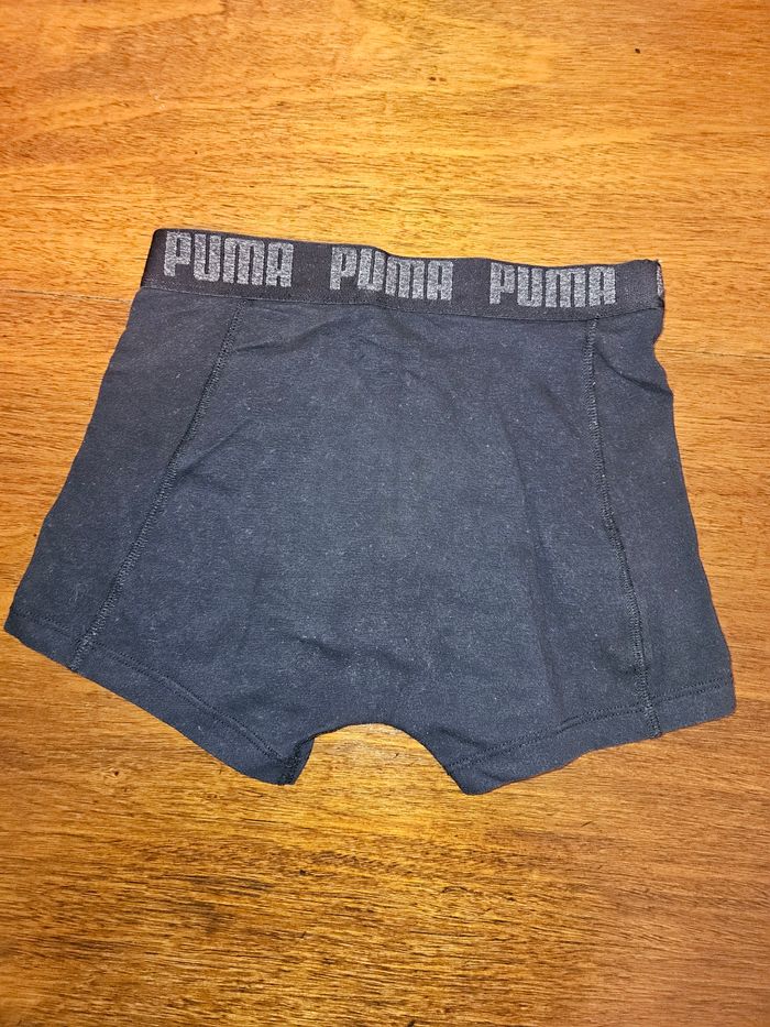 4 Boxer puma - photo numéro 2