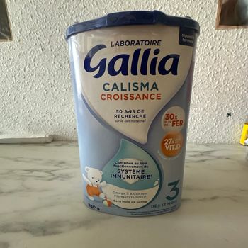 Gallia 3eme âge