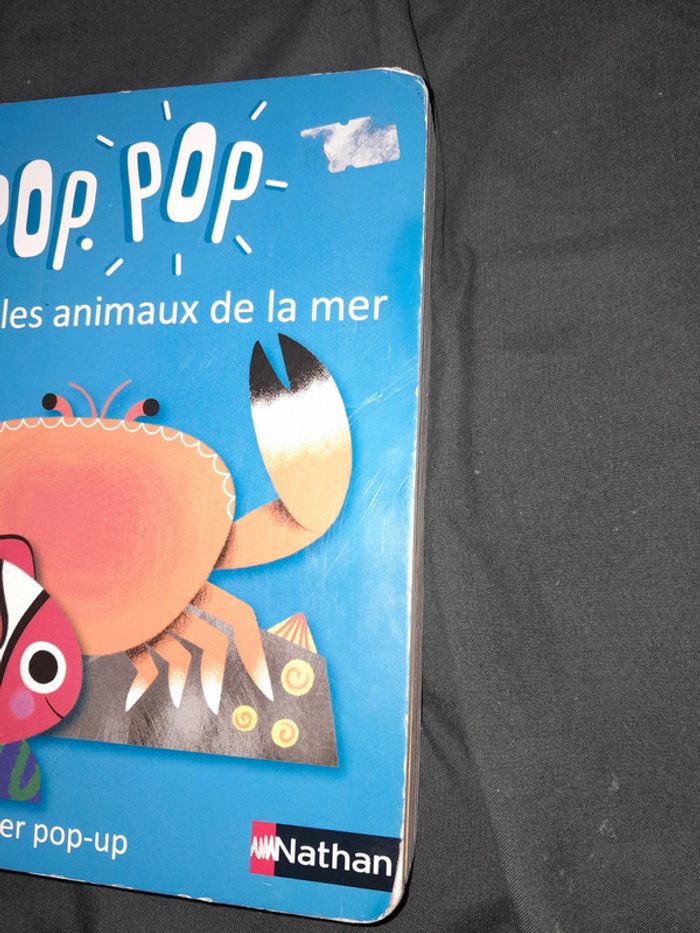 Livre pop pop pop - photo numéro 4