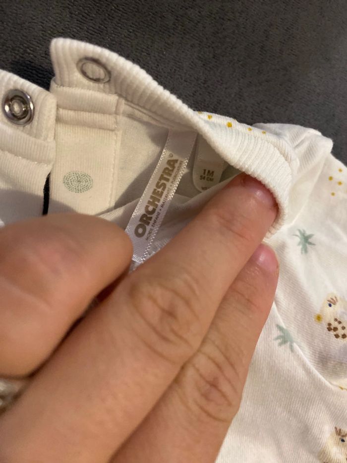 Ensemble - photo numéro 3