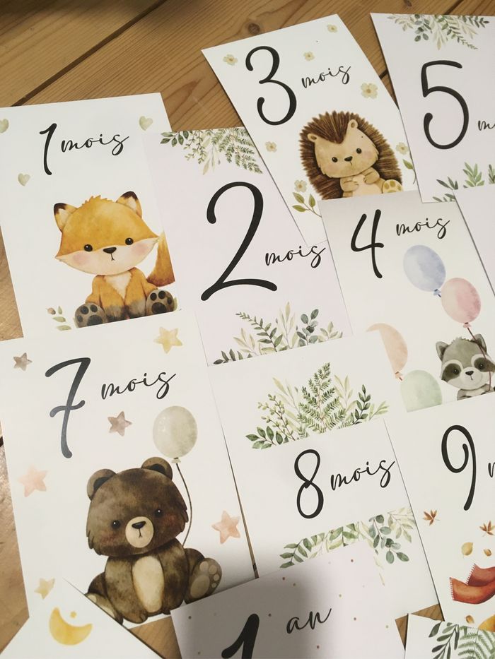 Cartes étapes Animaux de la forêt - photo numéro 2