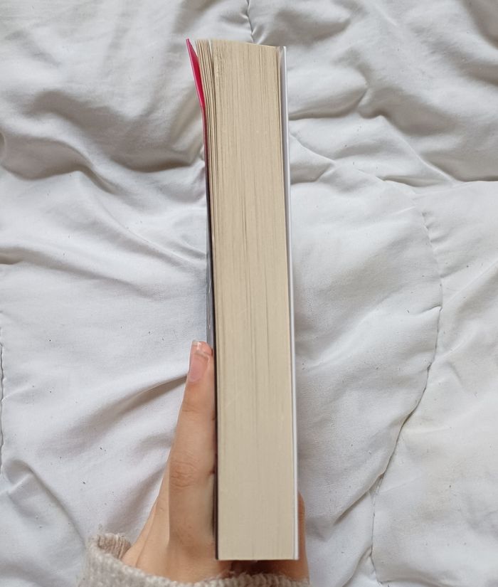 Livre - Scandale - photo numéro 4