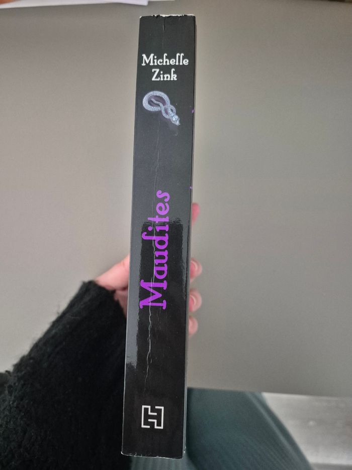 Maudites - photo numéro 3