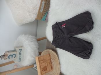 Jolie pantalon elastique gris velour Gémo bébé fille 3 mois