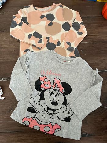 Lot 2 pulls fins Minnie