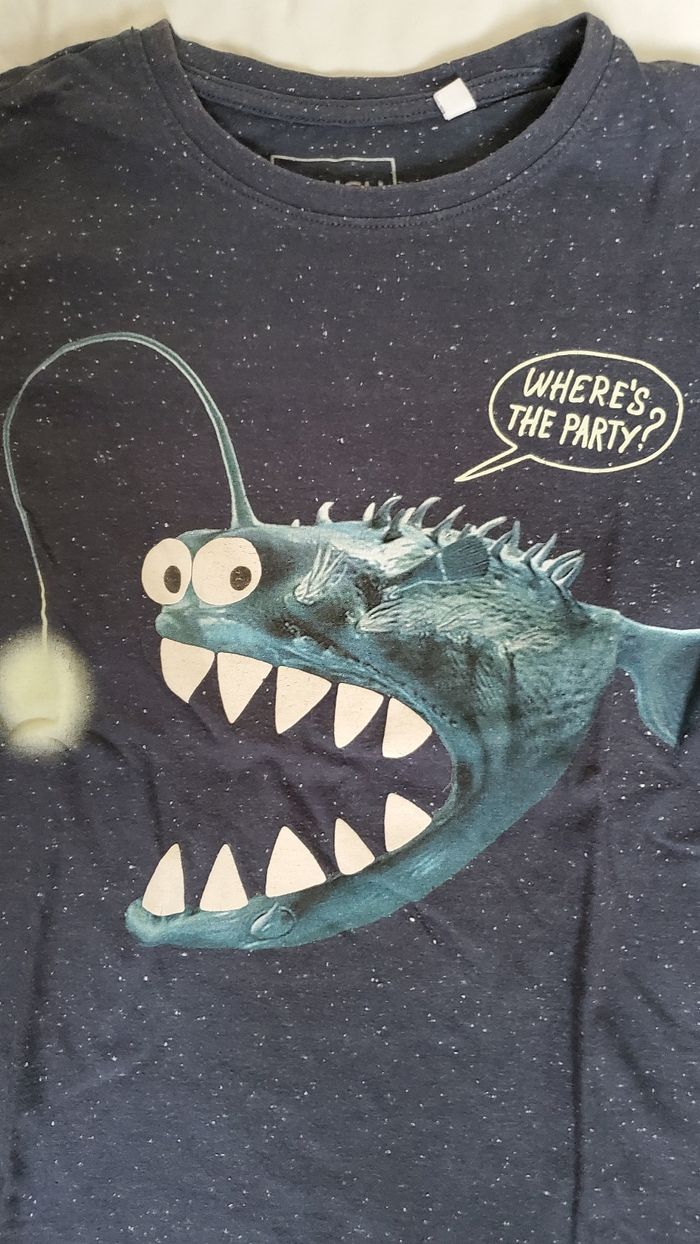 Lot de 2 t-shirts 10 ans - photo numéro 2