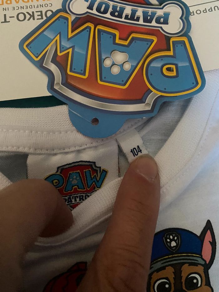 Pull fin « we love the Earth » Paw Patrol Taille 104 - photo numéro 2