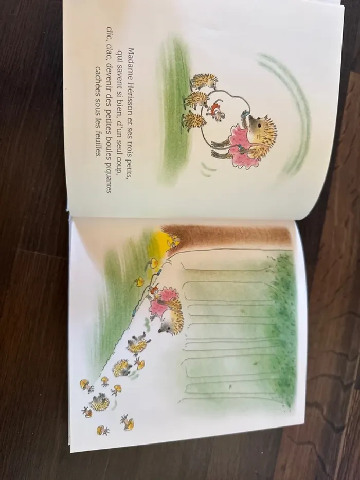 Livre enfant - photo numéro 5
