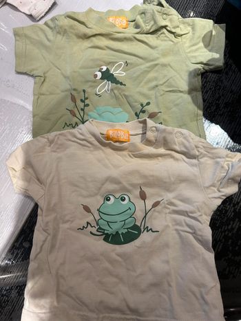 Lot 2 t-shirts Biloba – 6 mois