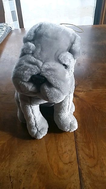 Peluche chien star pei