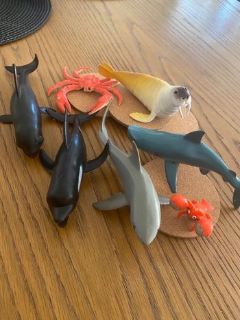 Lot animaux marins
