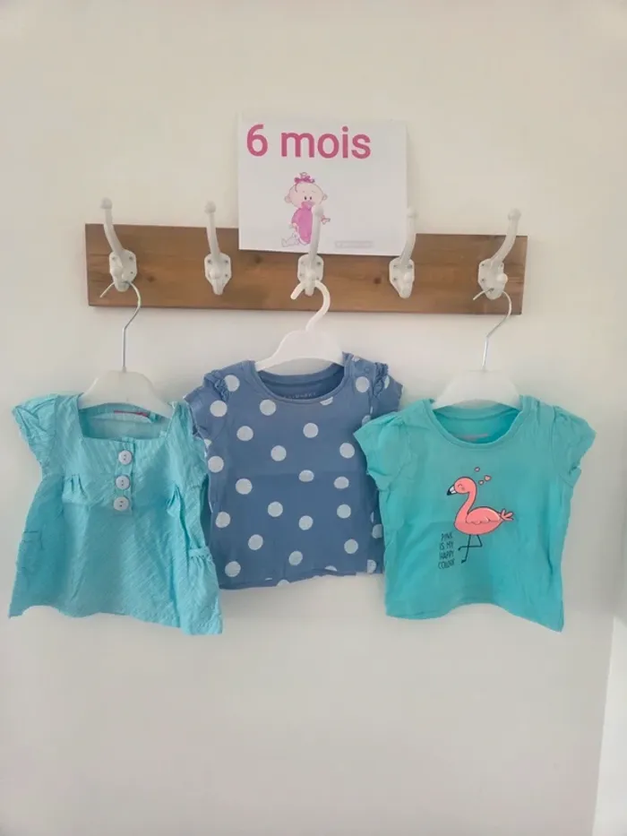 Lot 3 tee-shirts 6m f
